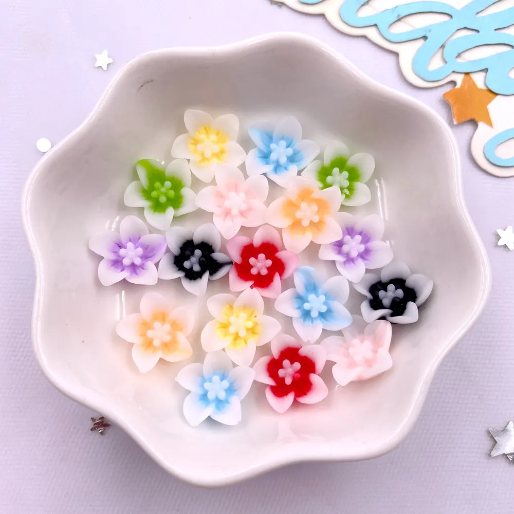 50pcs Resin 13mm Colorful 3D M - Paradise Jewelry & Watches Dolphin Mall review and price