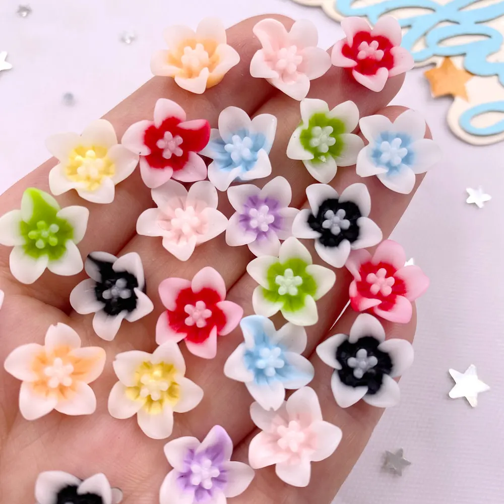50pcs Resin 13mm Colorful 3D M - Paradise Jewelry & Watches Dolphin Mall review and price